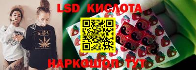 ГАЛЛЮЦИНОГЕННЫЕ ГРИБЫ Свободный