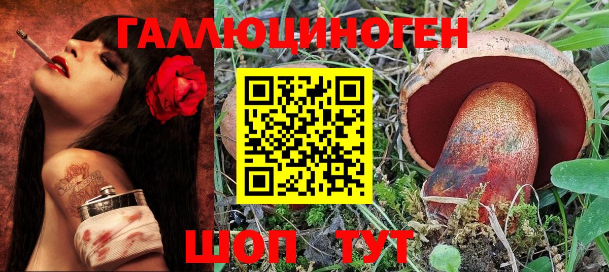 Псилоцибиновые грибы MAGIC MUSHROOMS  Вход с VPN  Свободный 